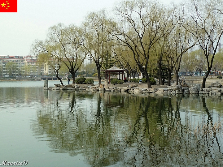 Beijing-375.jpg - Après notre dîner, une courte marche autour de cet étang