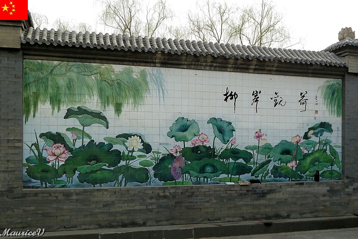 Beijing-383.jpg - Un mur qui représente de la couleur avec ces jolies plantes