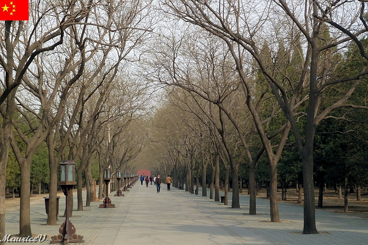 Beijing-396.jpg - L'allée centrale pour se rendre au temple du ciel