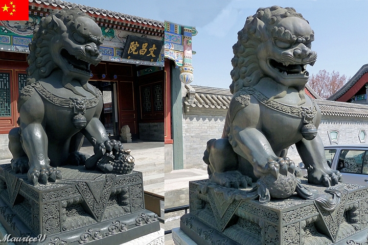 Beijing-490.jpg - Le lion est toujours à la droite de la porte, tandis que la femelle est du côté gauche lorsque nous les regardons d'en face