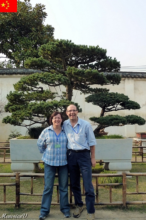 Shanghai-827.jpg - Ceux-là sont de beaux spécimens...