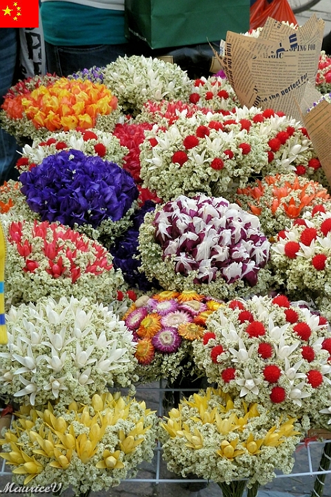 Shanghai-870.jpg - Un kiosque de fleurs variées