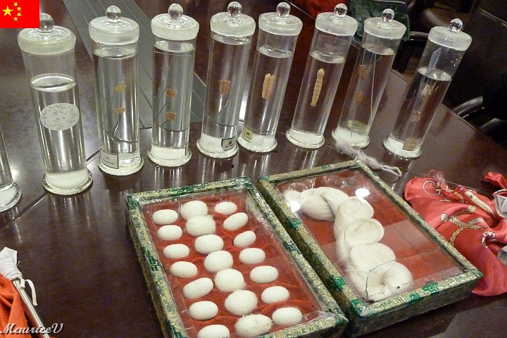 Shanghai-958.jpg - Visite d'une fabrique de soie.  Étape 1:  l'élevage des vers à soie