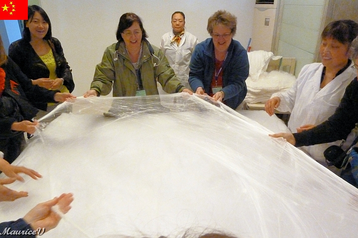 Shanghai-973.jpg - Enfin, la soie naturelle est ensuite teinte et tissée.  Ainsi 111 cocons sont nécessaires pour la cravate d'un homme et 630 cocons pour le chemisier d'une femme