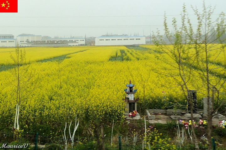 Shanghai-B61.jpg - Regarder à droite en bas,  des offrandes pour les morts.  Cette pratique est très répandue