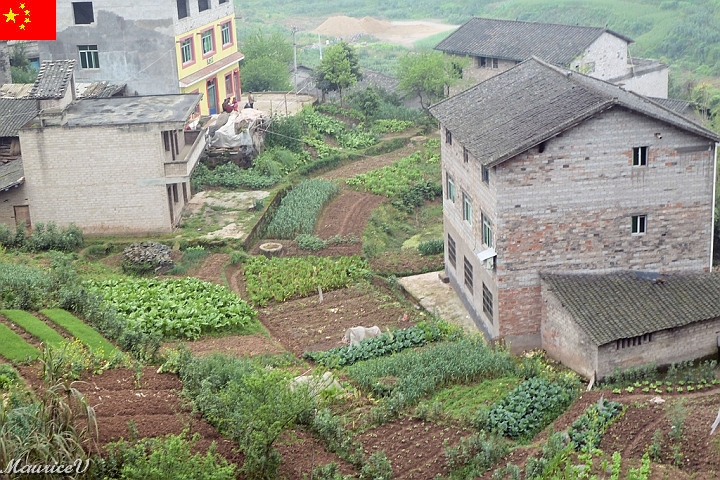 Bateau-475.jpg - Ce potager  est beaucoup en avance par rapport à nous