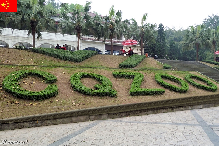 Guilin-540.jpg - Nous visitons le zoo de Chongqing