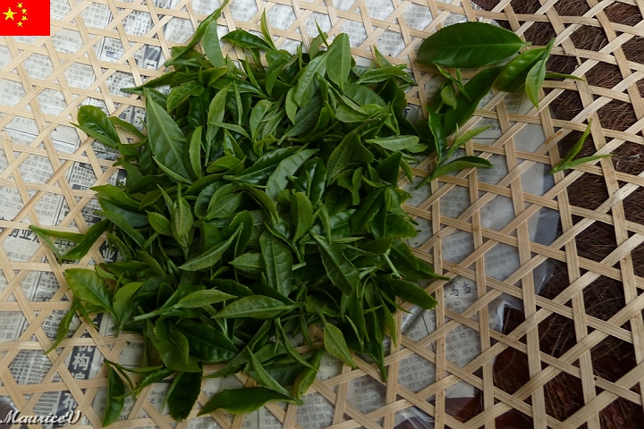 Guilin-589.jpg - C’est l’occasion de se faire expliquer la transformation du thé