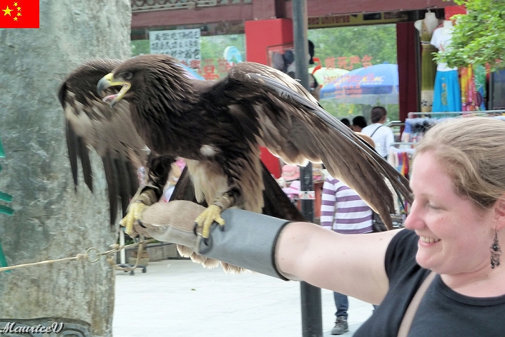 Guilin-684.jpg - Un aigle et son dresseur