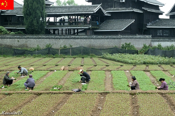 Guilin-691.jpg - La Chine est la troisième puissance économique mondiale et les gens travaillent manuellement ...