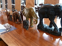 HongKong-4094  Une troupeau d'éléphants