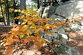 NorthConway-201210-610