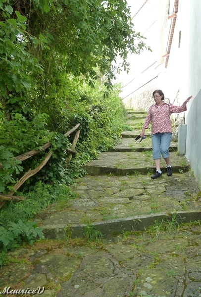 201305-549.jpg - Notre descente à la ville de Sorrento fut tout un exploit,  mais que dire du retour (2000 mètres)