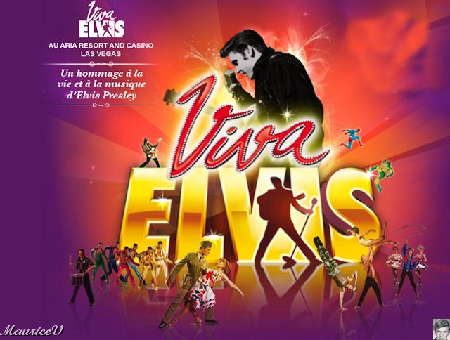 P1000214.JPG - Viva ELVIS rend hommage à la vie et à la musique d’Elvis Presley.   La danse, l’acrobatie, la musique live et les enregistrements légendaires du « King ». nous font bien vivre sa vie à notre grande satisfaction.