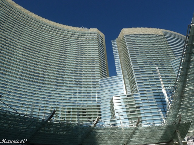 P1000290.JPG - Nous sommes très petits.