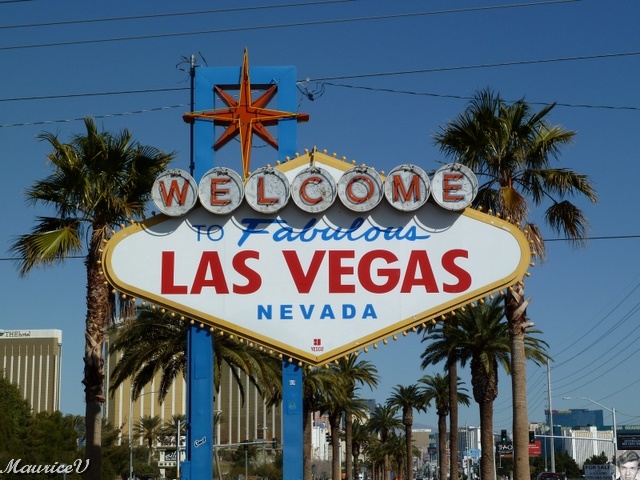 P1000299.JPG - Allons voir cette ville de démesure du 1 au 6 mars 2011.Gisèle a tout "booké" via Expedia.ca