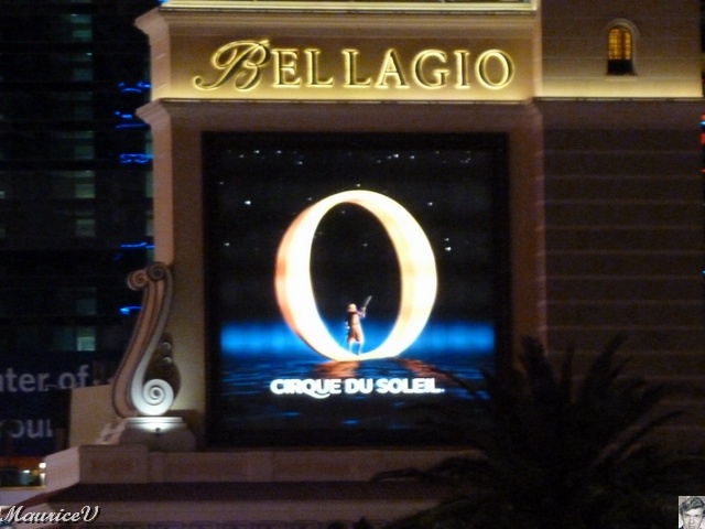 P1000410.JPG - Acrobates de calibre international, des nageurs synchronisés,des  plongeurs et  des personnages enchanteurs exécutent leurs prouesses dans l'eau, sur l'eau et au-dessus de l'eau, offrant une expérience hors du commun.  Excellent spectacle.