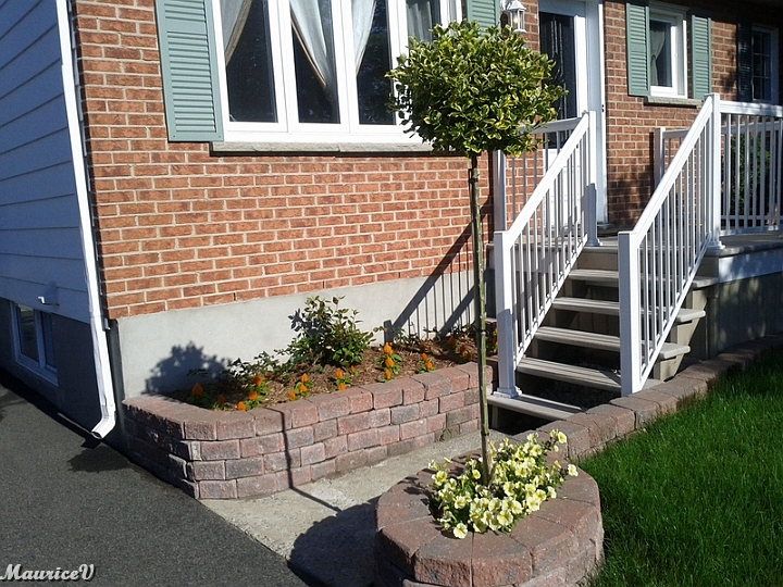 Leclerc-Ext-Muret.jpg - Muret et payagement