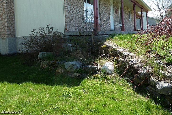 Debut-122.jpg - J'ai enlevé manuellement toutes ces pierres et transporté en arrière de mon terrain