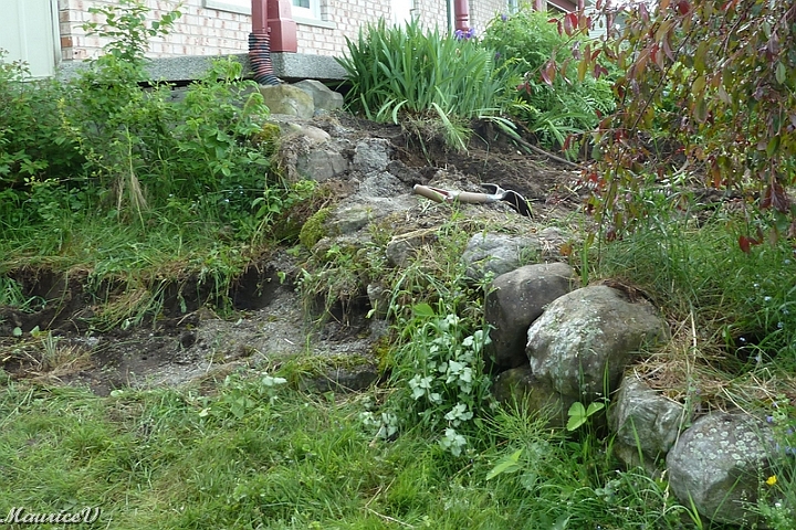 Debut-166.jpg - Transférons les plus belles plantes pour embellir un endroit en arrière de notre demeure