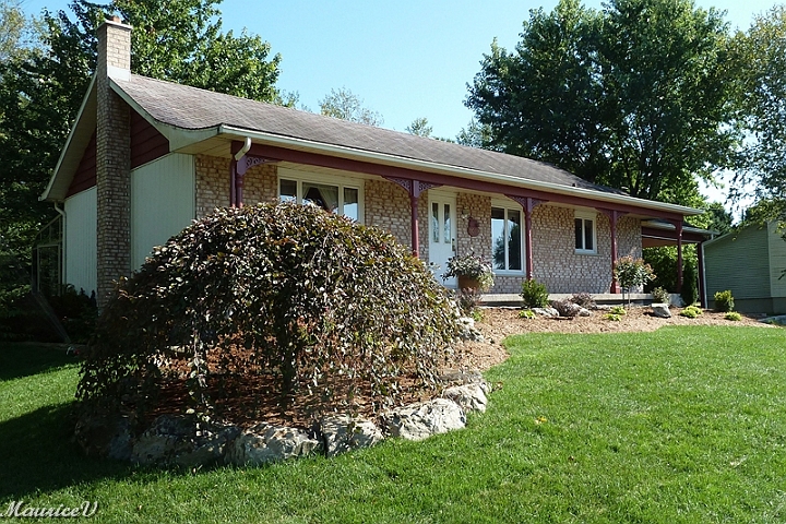 Final-488.jpg - Voici le travail final sous cett angle