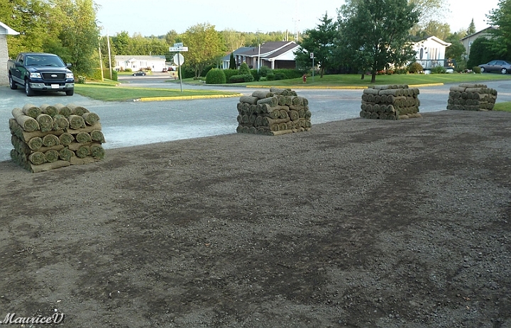 Pelouse-459.jpg - Samedi, 25 août,  est dédié à la pose de 2500 pieds carré de tourbe