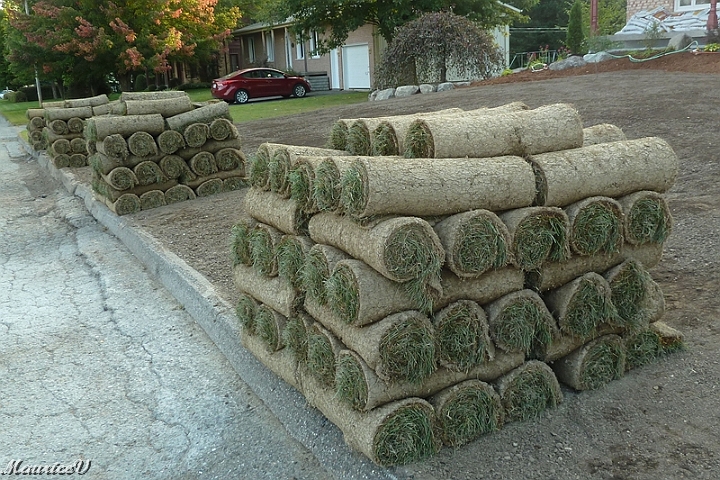 Pelouse-460.jpg - La tourbe vient de Compton chez la ferme Bourdon