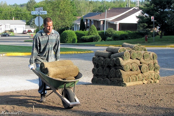 Pelouse-Fr03.jpg - De plus, il a fait appel à un homme fort, son fils Nicolas