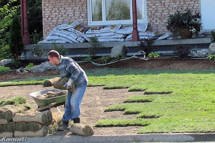 Pelouse-Fr07.jpg - Le jeune va être fatigué à la fin de la journée mais surtout des douleurs au dos.