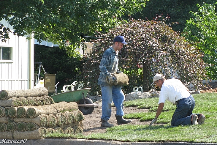 Pelouse-Fr14.jpg - Après un bon repas, l'après-midi débute et nous sommes encouragés