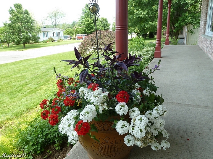 Pot_Annuelles-2.jpg - Très beau bouquet, les fleurs sont au maximum en juillet