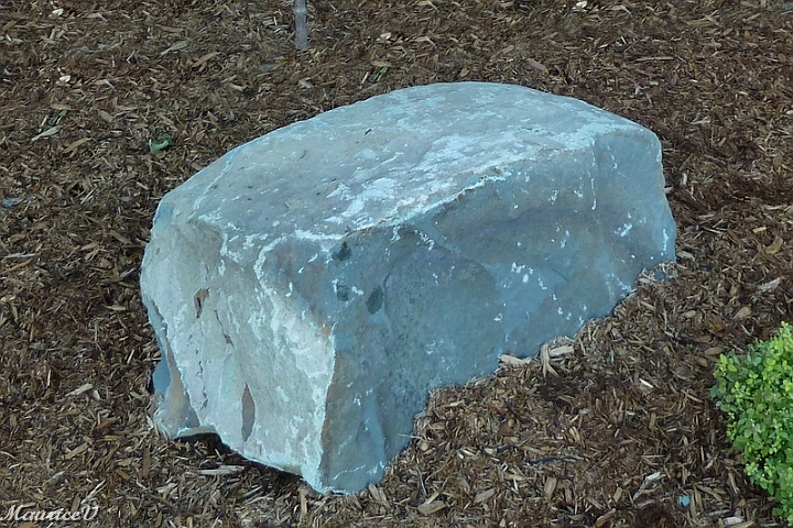 Roches-499.jpg - Celle-ci, je l'ai cassé en la transportant  ...  ce fut volontaire par la pelle du Kubota