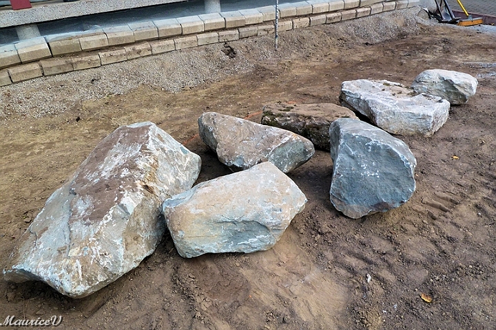 Travaux-443.jpg - J'ai sélectionné ces roches pour agrémenter mes plantes