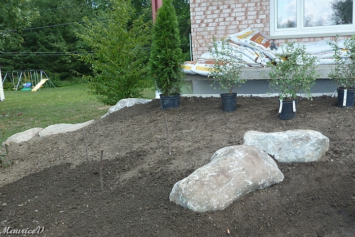 Travaux-446.jpg - Commençons à déposer temporairement des plantes et des arbustes