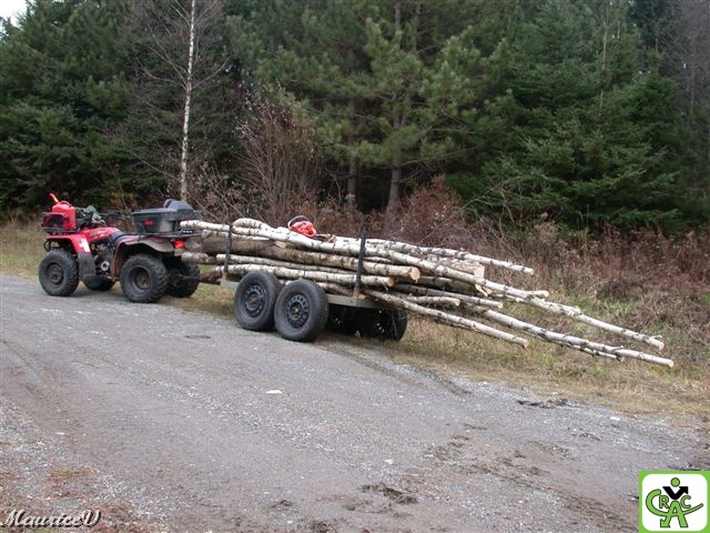 Julien-VTT-Bois.jpg - Julien a trimé dur aujourd'hui, l'hiver s'en vient et ça va chauffer dans la cabane